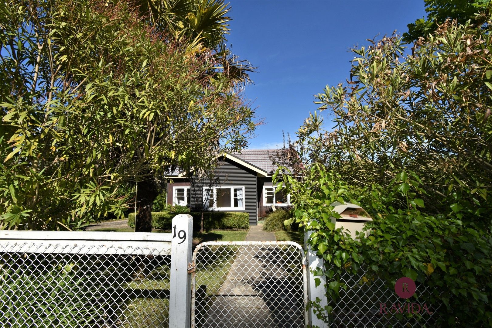 19 BUCKLAND GAP ROAD, Beechworth VIC 3747 Domain