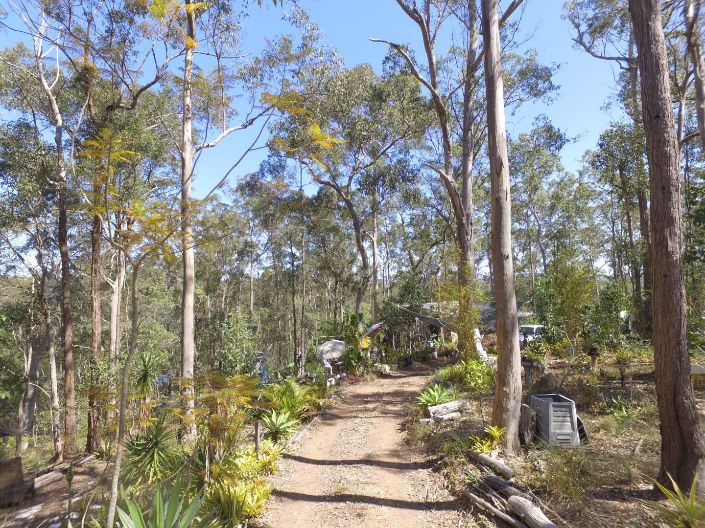 Lot 3 SCRUB ROAD, Tandur QLD 4570, Image 1