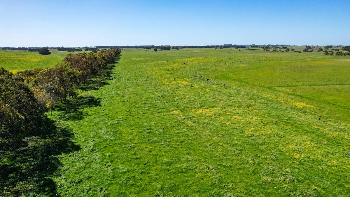 Additional image 34 of 170 Allans Road, Framlingham VIC 3265