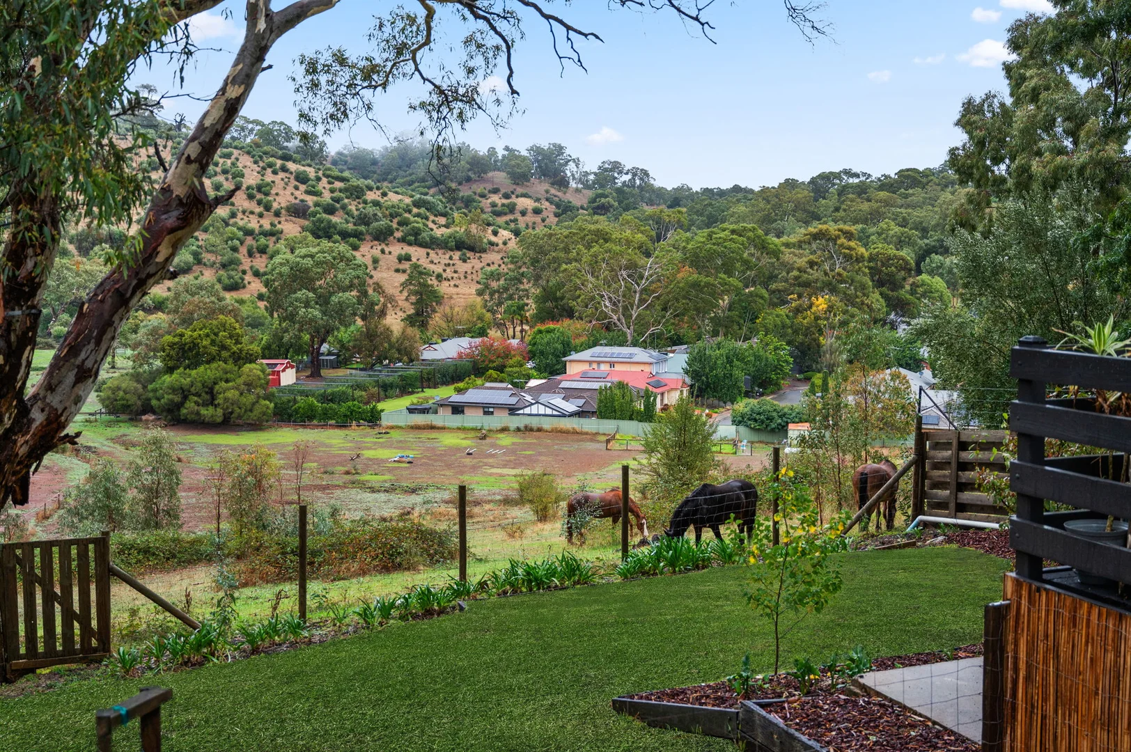 Additional image 21 of 18 Nicolle Drive, Coromandel Valley SA 5051