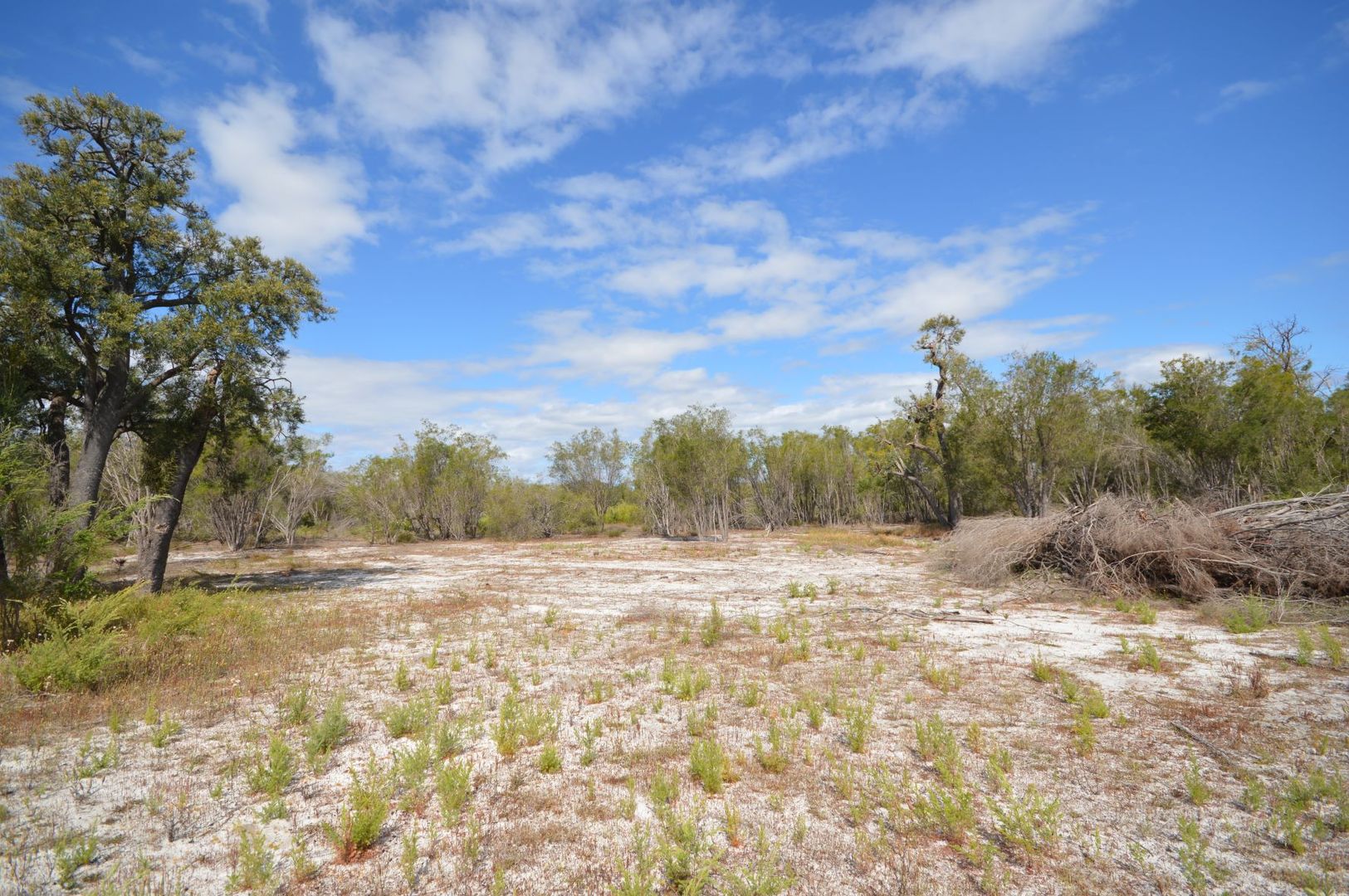 Lot 533 Hero Court, Nambeelup WA 6207, Image 2