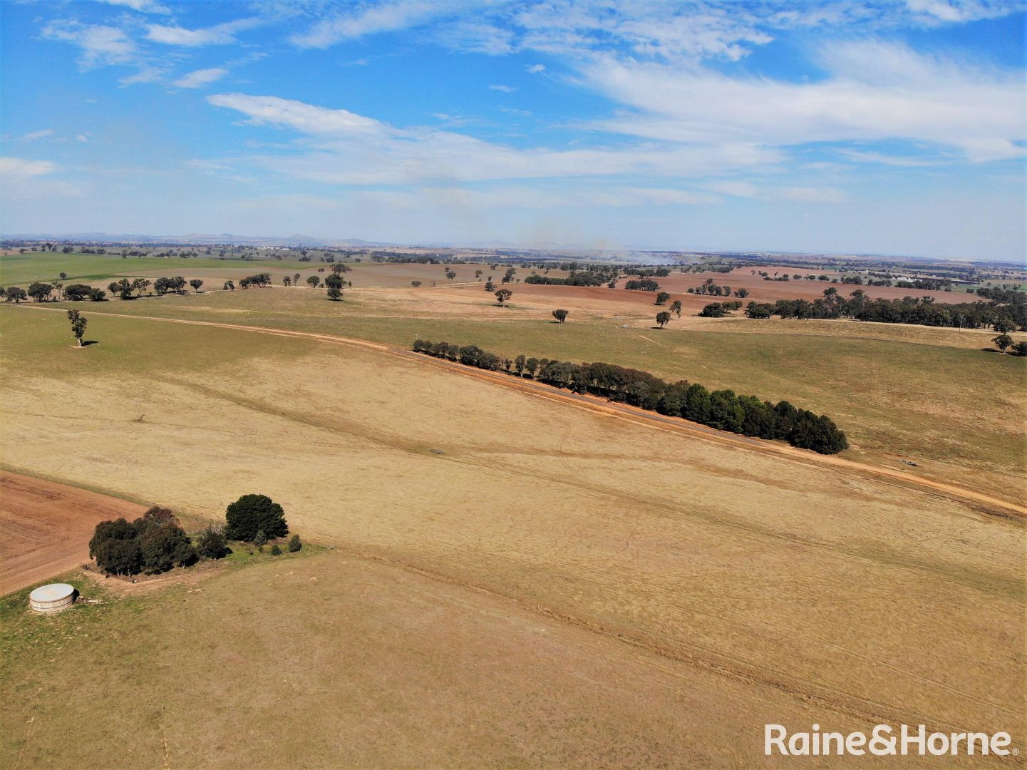 1431 Barwang Road, Barwang NSW 2594, Image 1