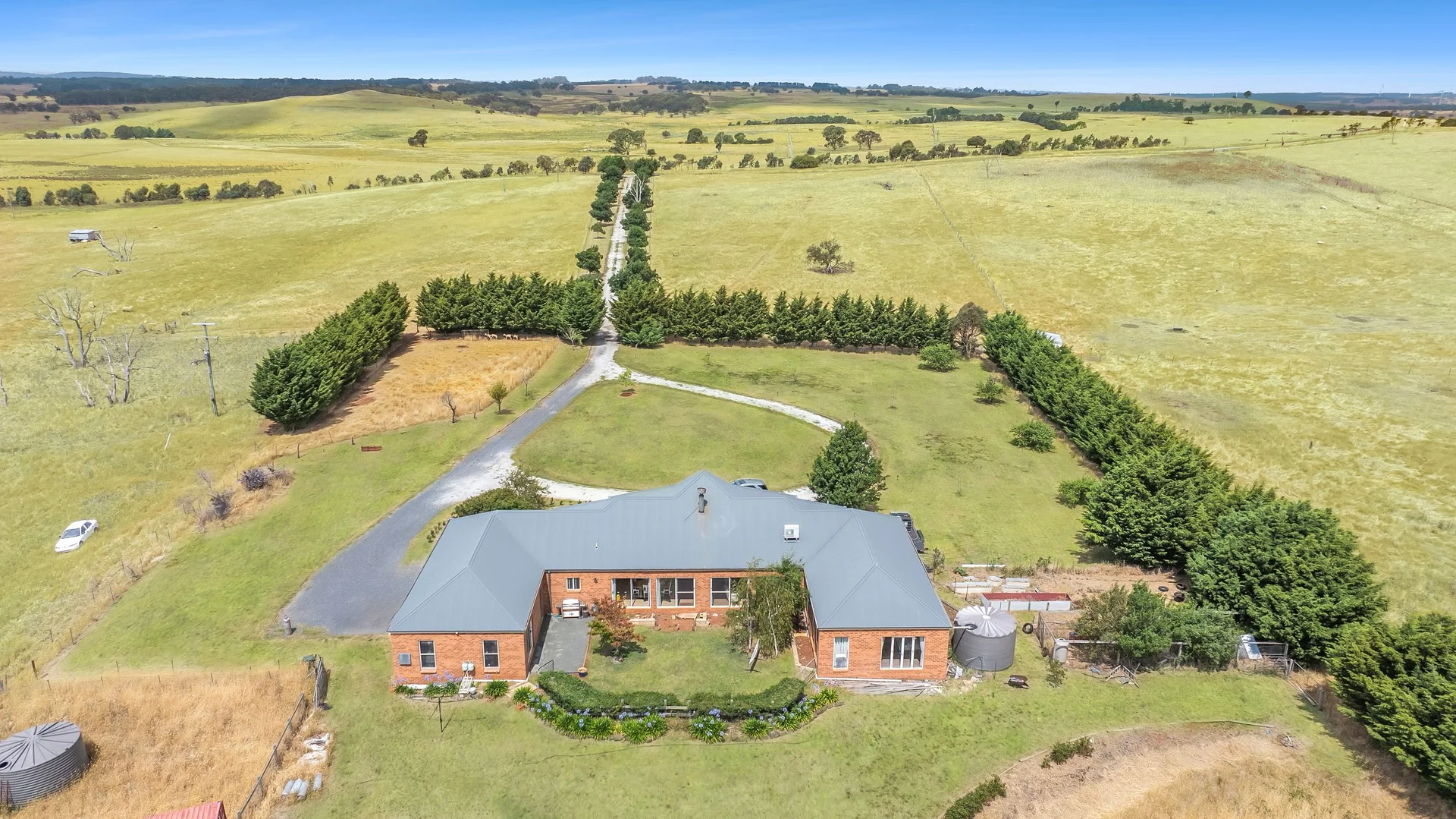 Image 19