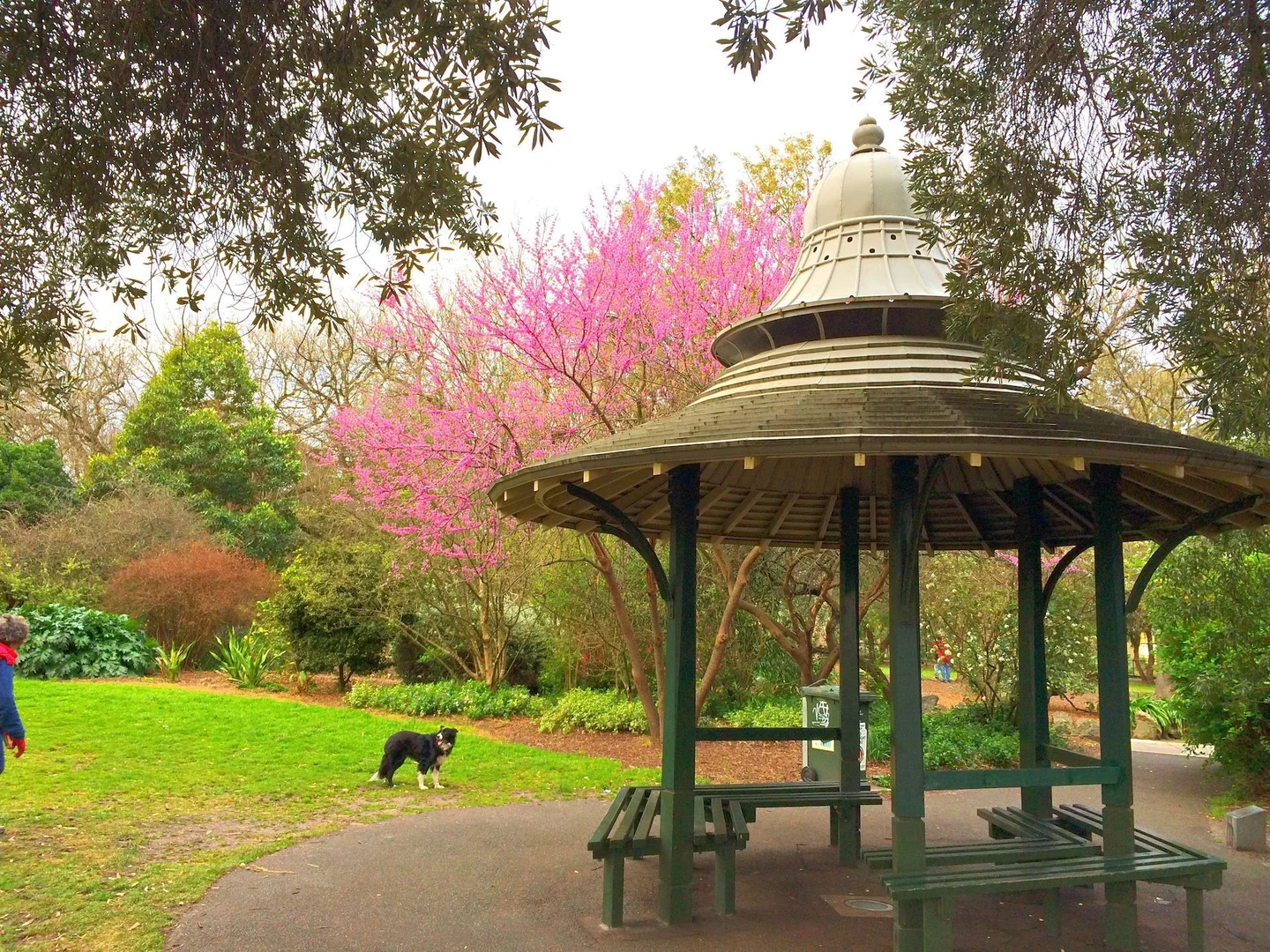 Additional image 16 of 24A Jervois Street, St Kilda East VIC 3183