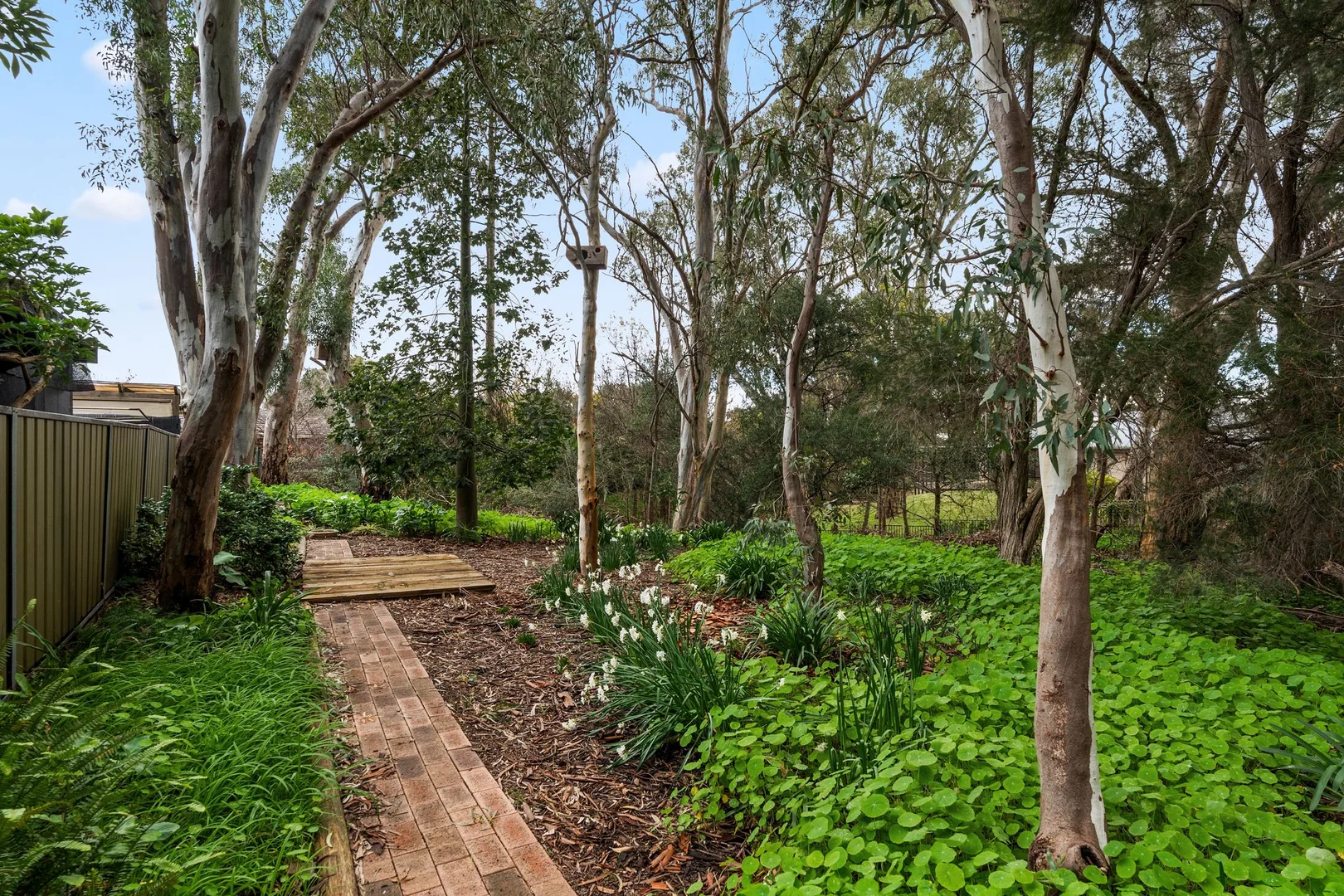 Image 15