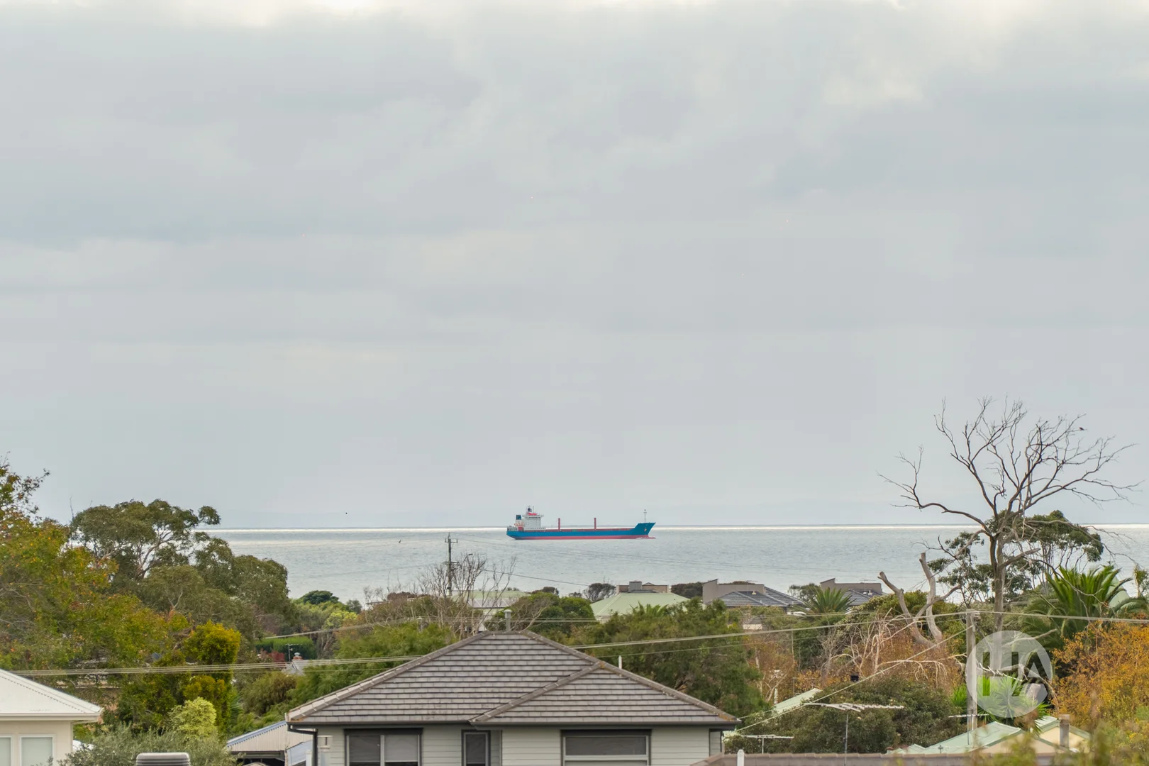 Image 12