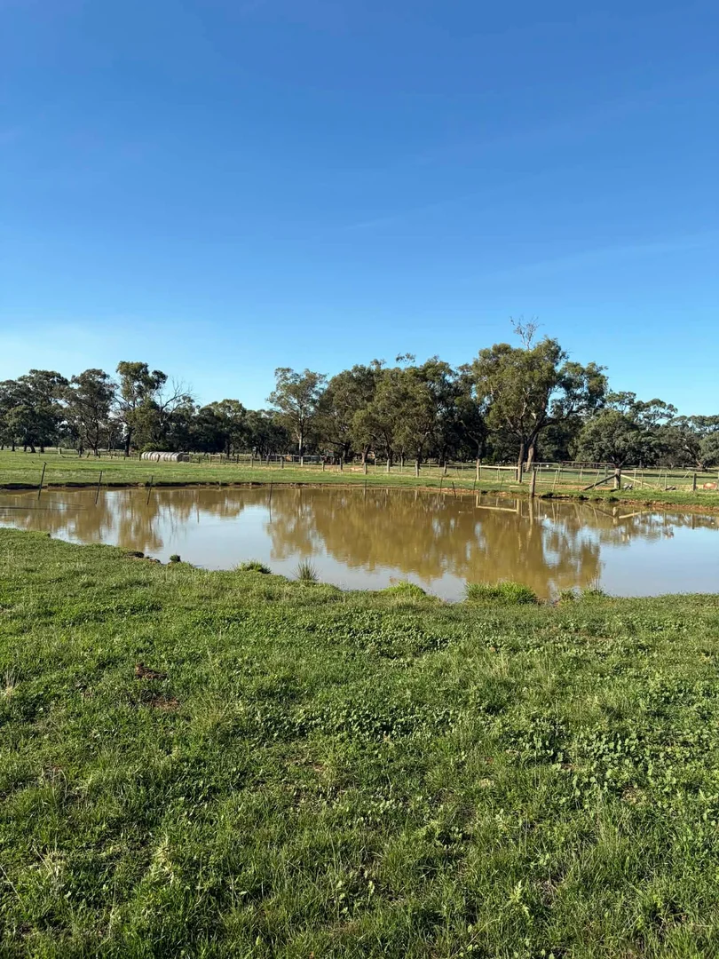 Additional image 5 of 78 Nicholson Lane, Kotta VIC 3565