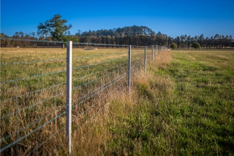 Additional image 23 of 7300 Illawarra Highway, Sutton Forest NSW 2577