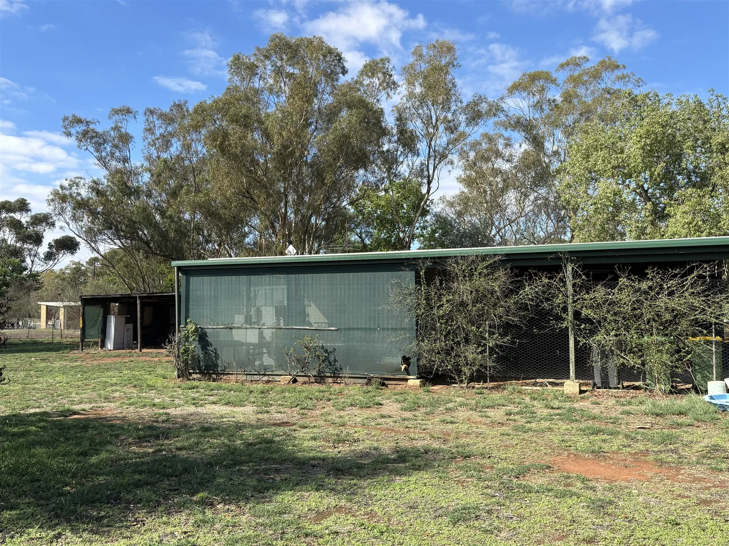 Additional image 12 of 37 Rankin Street, Oaklands NSW 2646