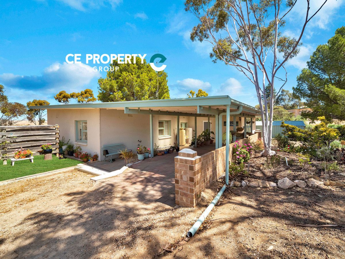 20 Albert Street, Mannum SA 5238, Image 0