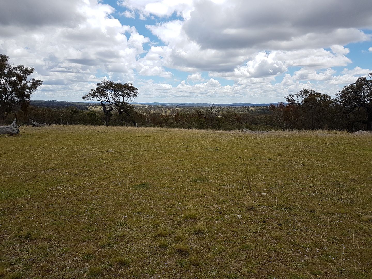 Lot 1 Springdale Road, Glenlyon QLD 4380, Image 1