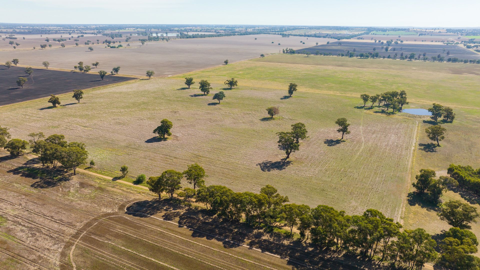 Caringa Lane, Corowa NSW 2646 House for Sale Domain