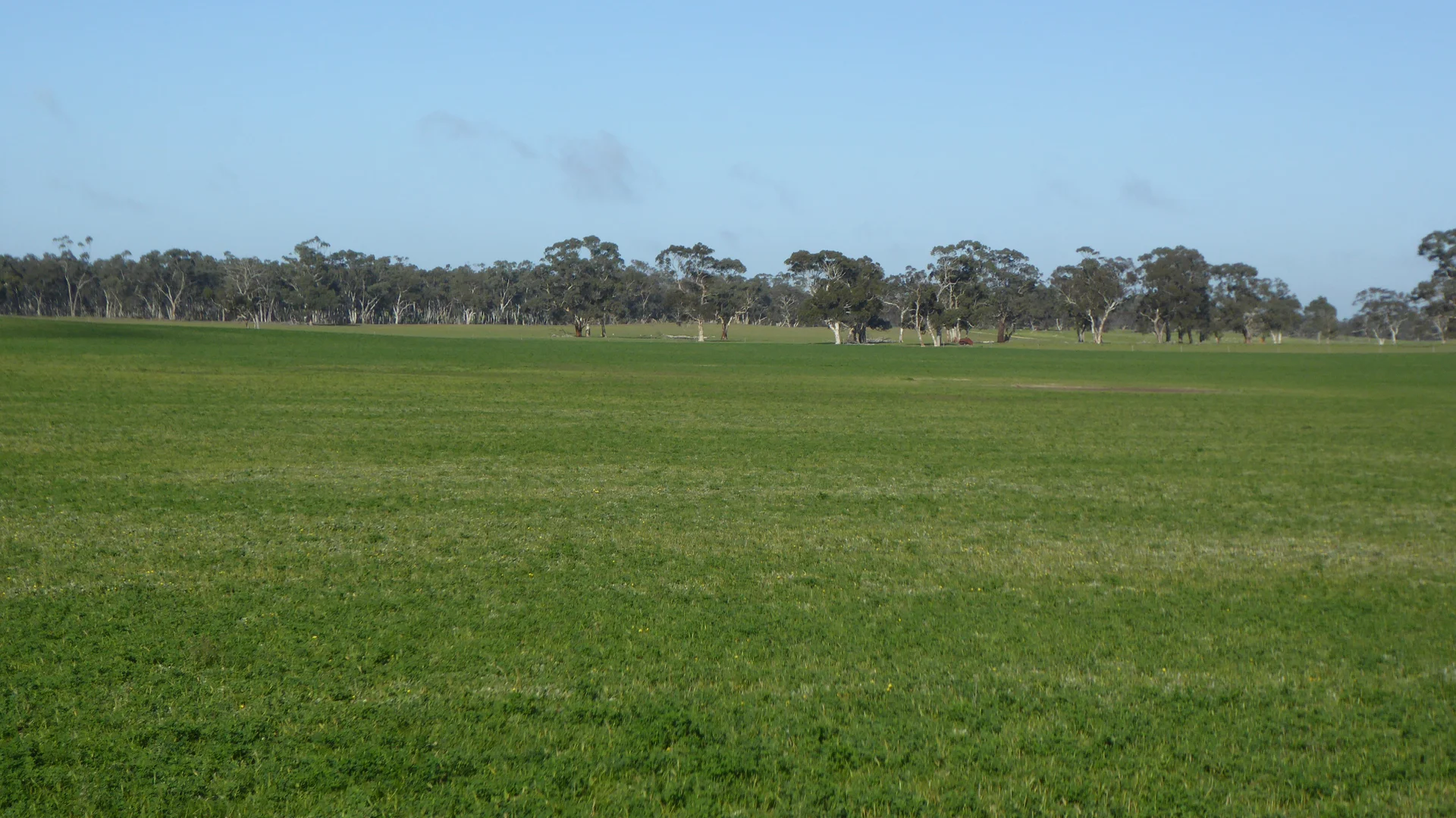 Image 16