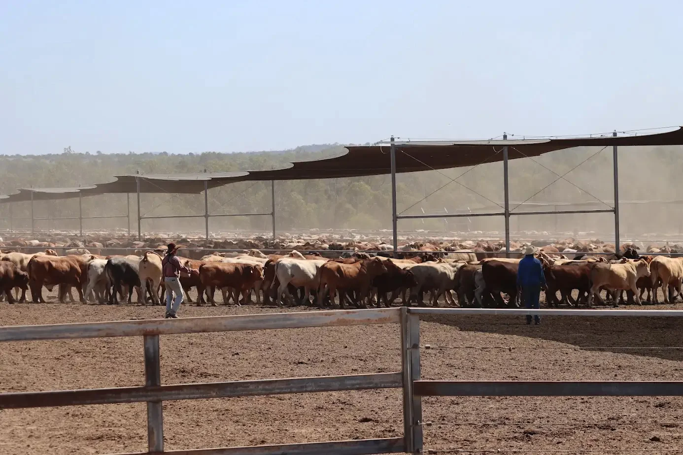 Additional image 11 of 2687 Dawson Developmental Road, Springsure QLD 4722