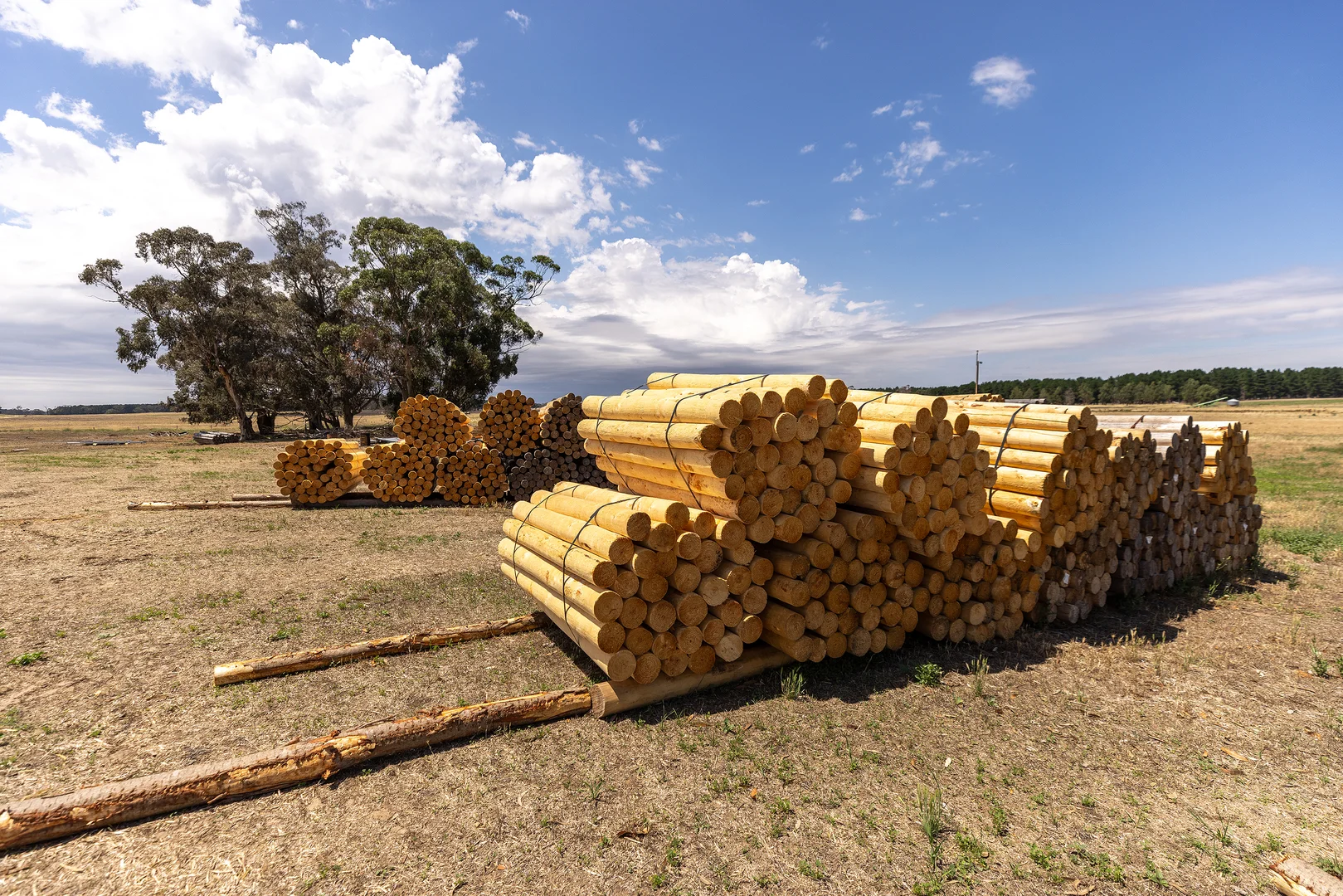 Additional image 30 of 2885 Frances Road, Bordertown SA 5268