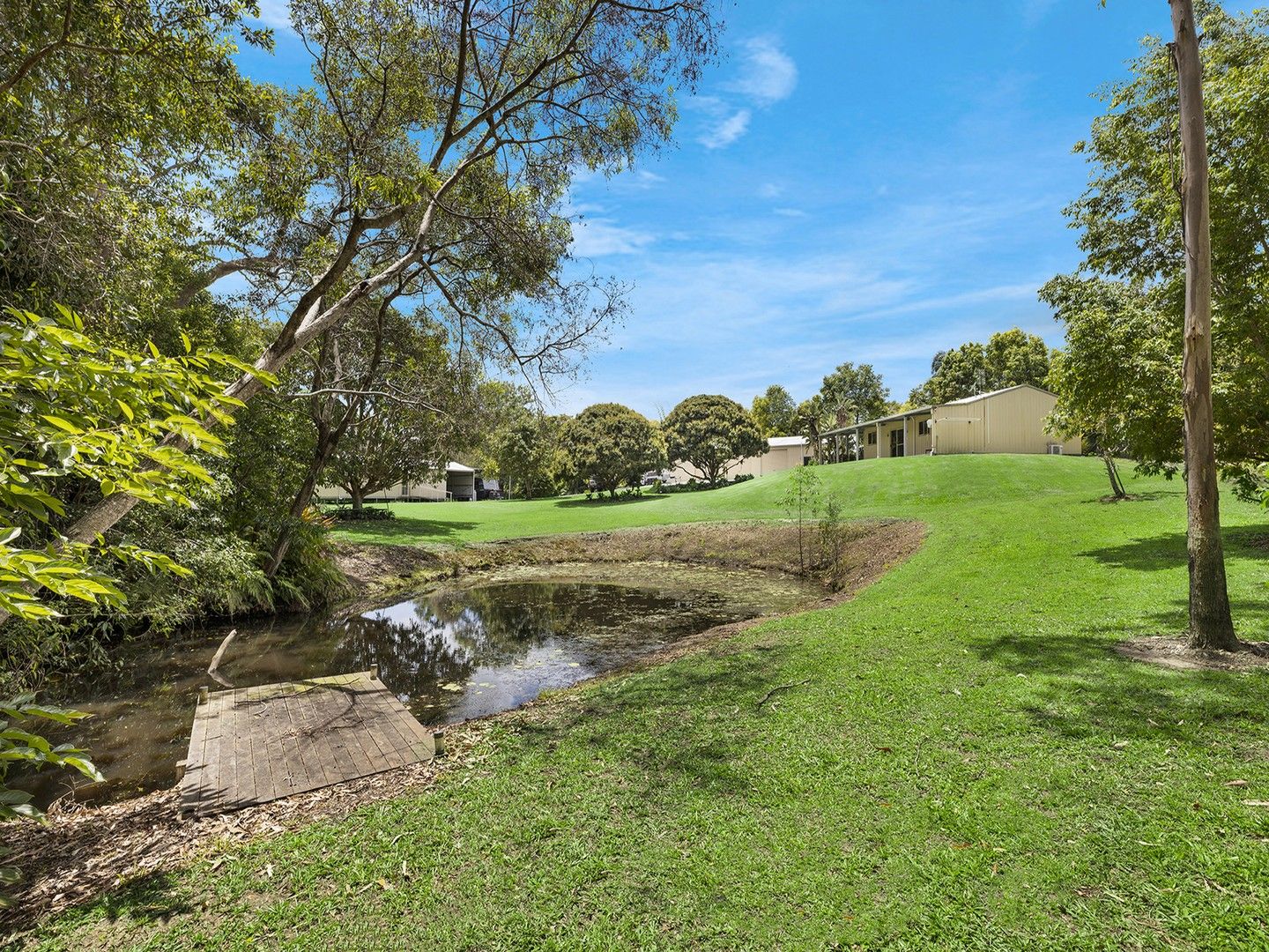 4A Brenda Court, Mooloolah Valley QLD 4553, Image 0