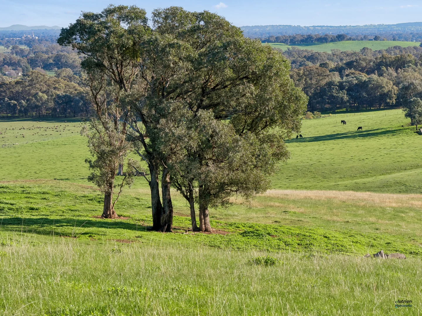 Image 17