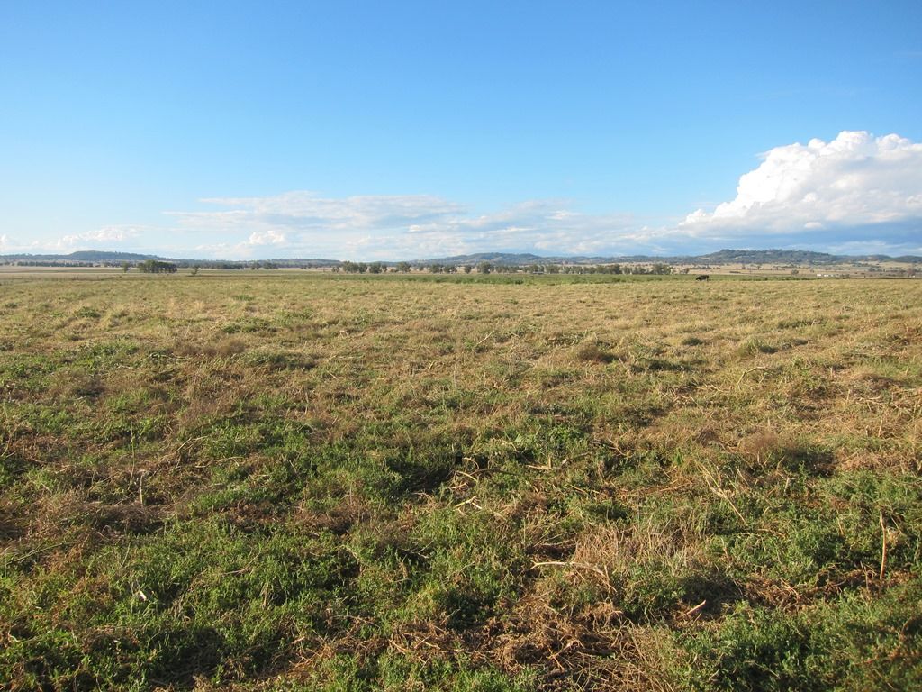 173 Lower Somerton Road, Attunga Property History & Address Research Domain