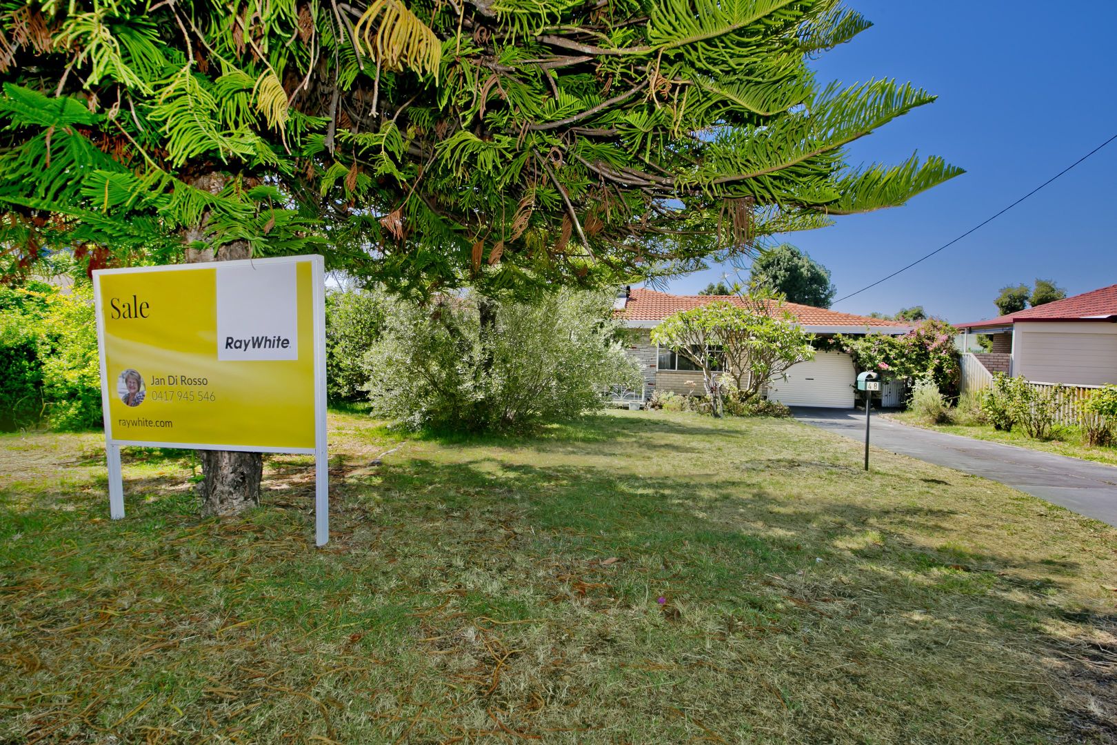 48 Oliver Street, Dianell Property History & Address Research Domain