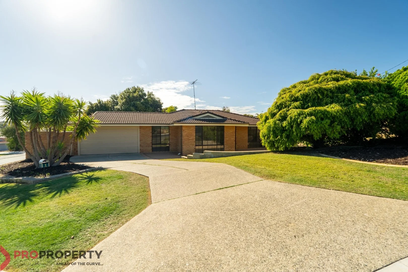 Primary image of 1 Mandarin Court, Craigie WA 6025