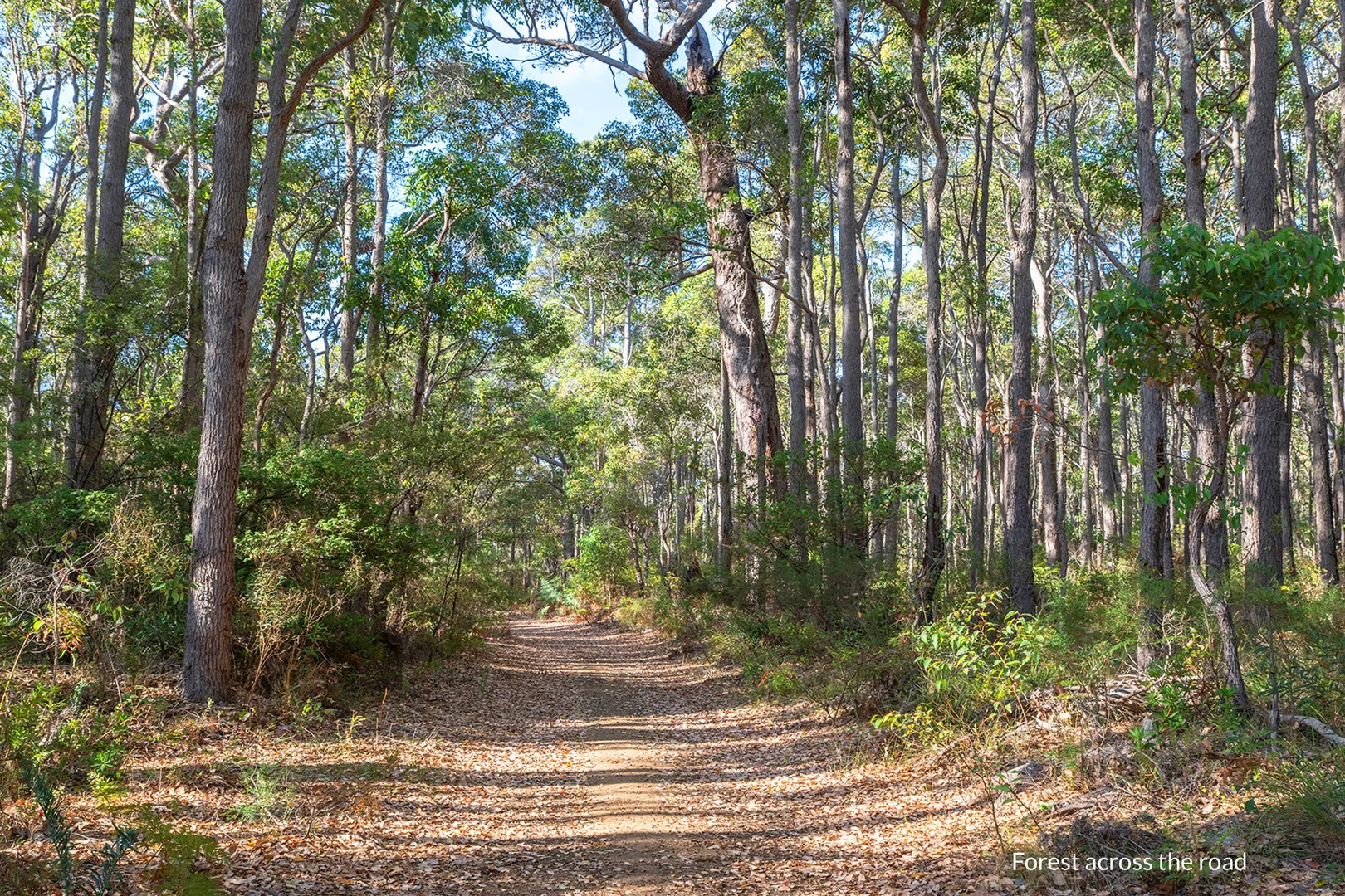 Additional image 16 of 1 Bussell Highway, Margaret River WA 6285