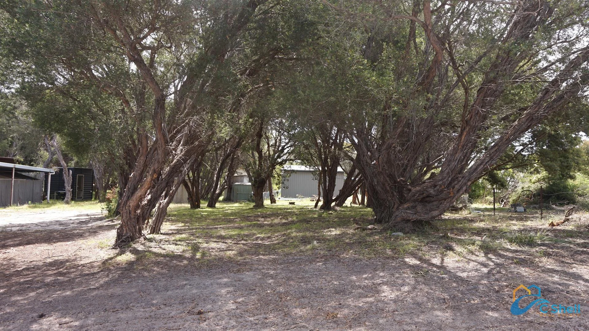Image 9