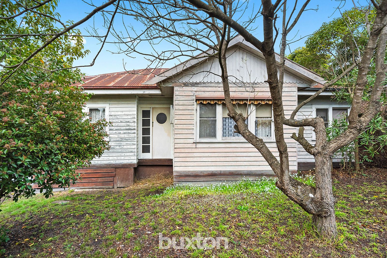 10 Findlay Grove, Belmont VIC 3216, Image 2