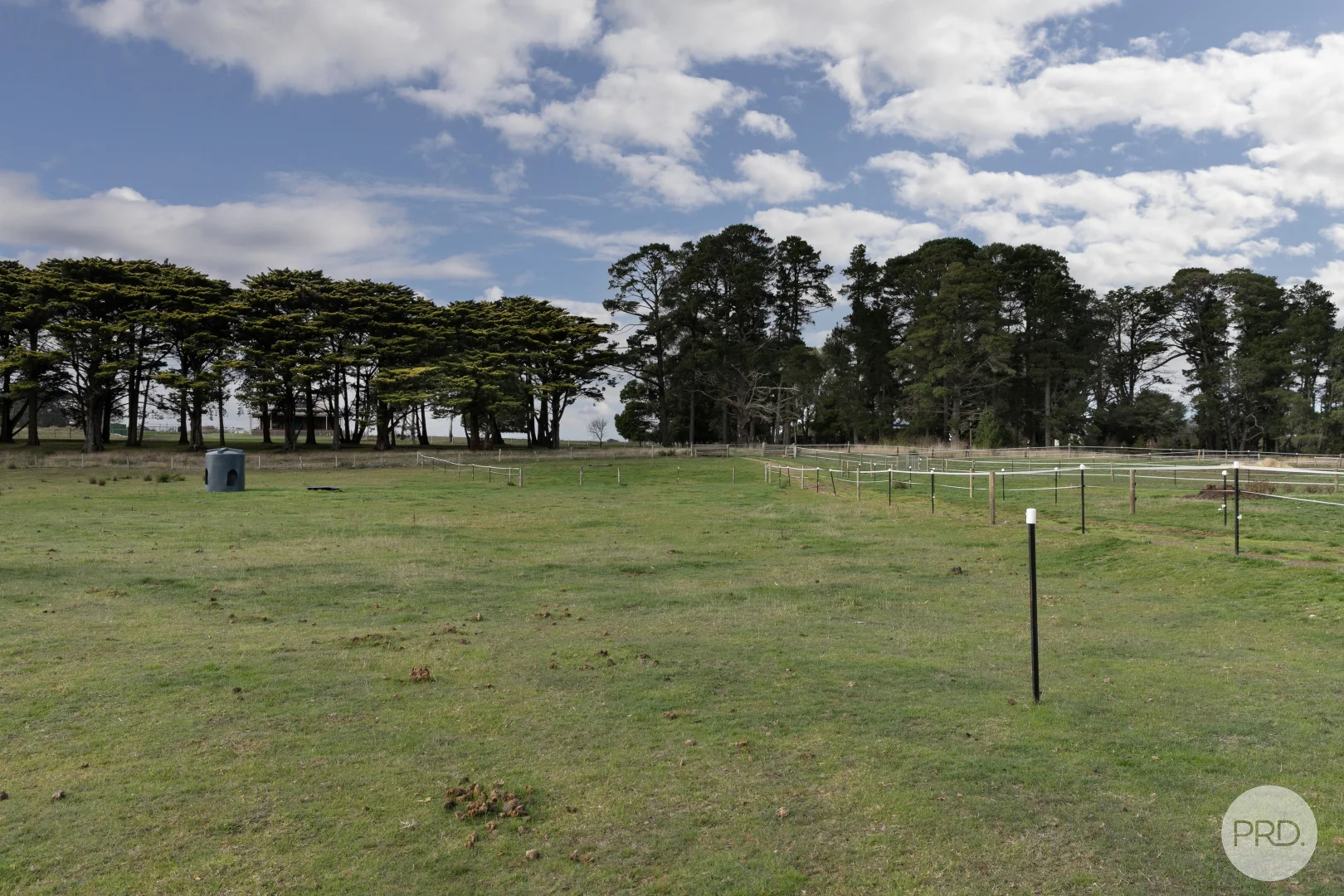 Image 15
