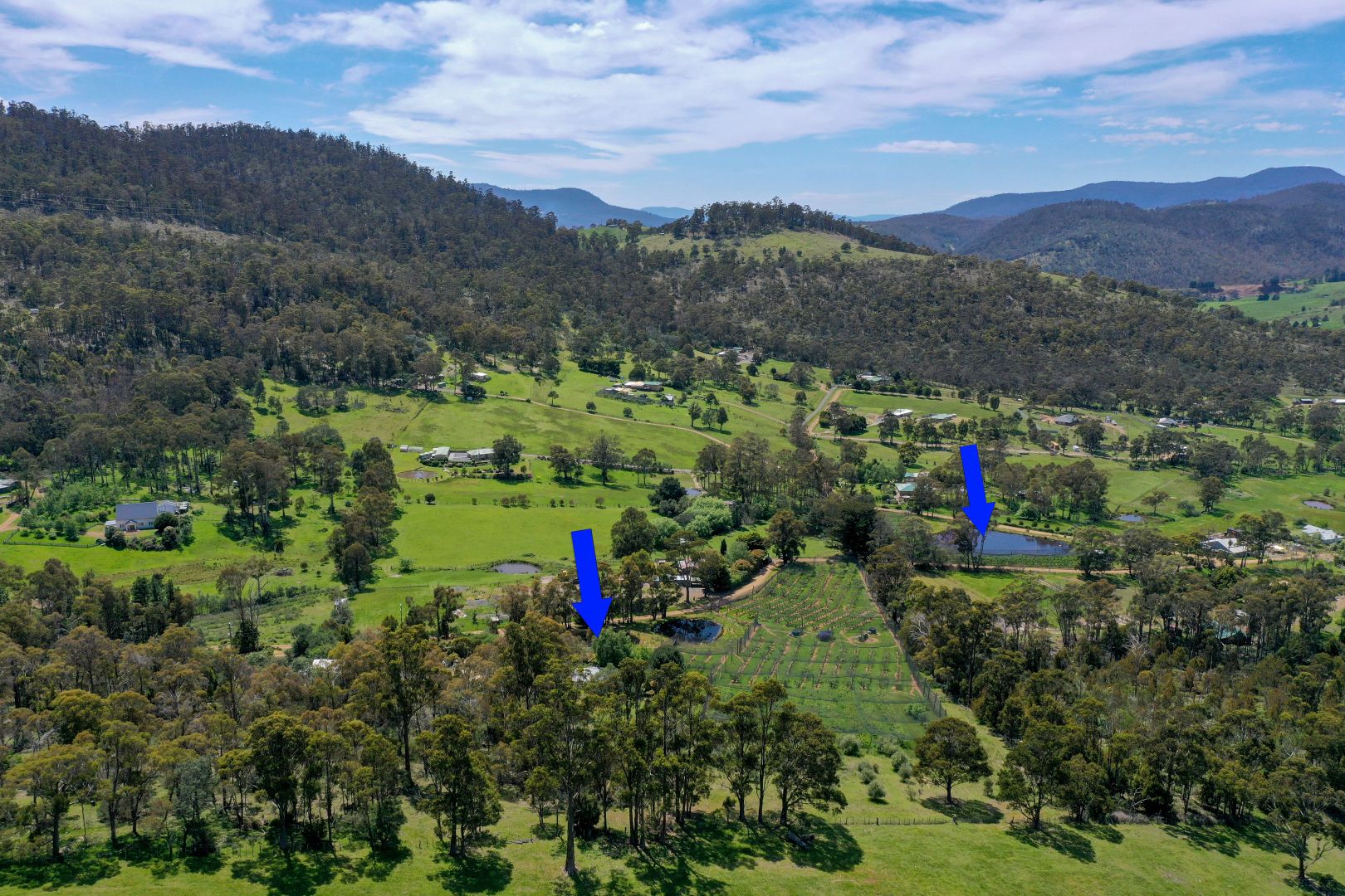 99 Millers Road, Lachlan TAS 7140 Domain