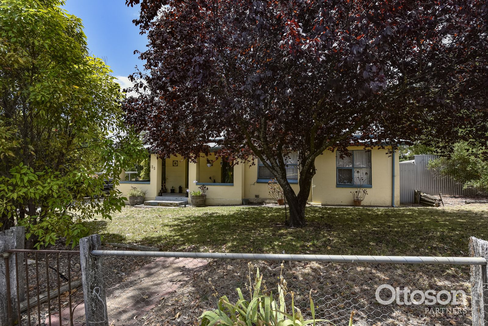 25 Cedar Avenue, Naracoorte SA 5271, Image 1