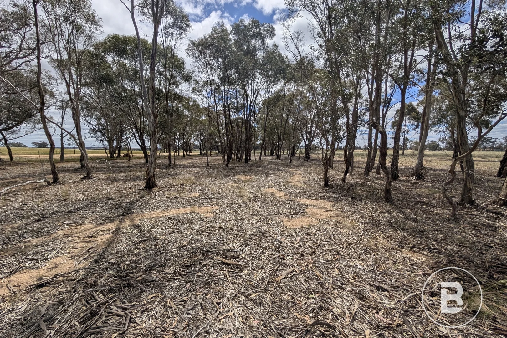 Image 10
