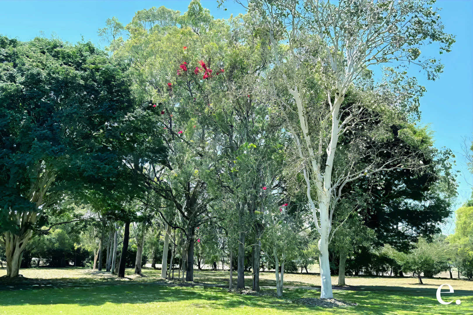 Additional image 31 of 10 Emerald Heights Road, Mareeba QLD 4880