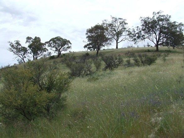 Picture of Section 384 Main North Road, WIRRABARA SA 5481