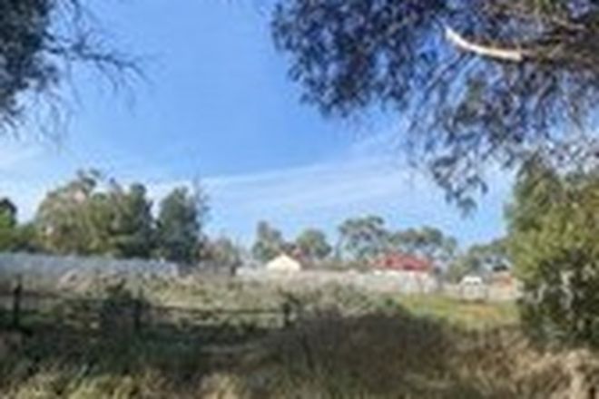 Picture of 23 LOUGHNAN STREET, LAKE CARGELLIGO NSW 2672