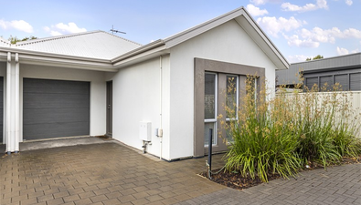 Picture of 5 Shearing Street, OAKLANDS PARK SA 5046