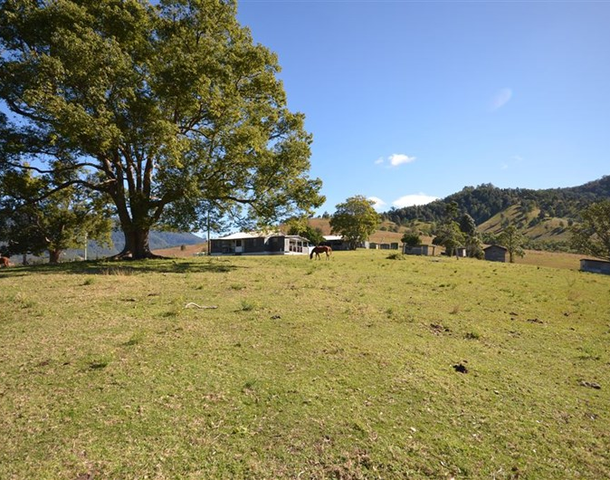 1331 Forbes River Road, Forbes River NSW 2446