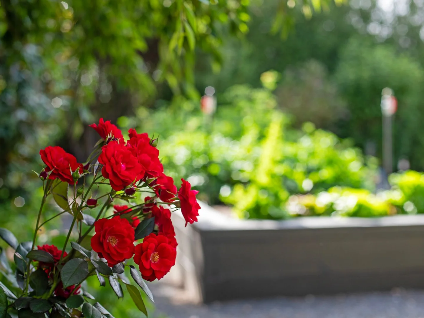 Additional image 30 of 21 Bushfield Court, Traralgon VIC 3844