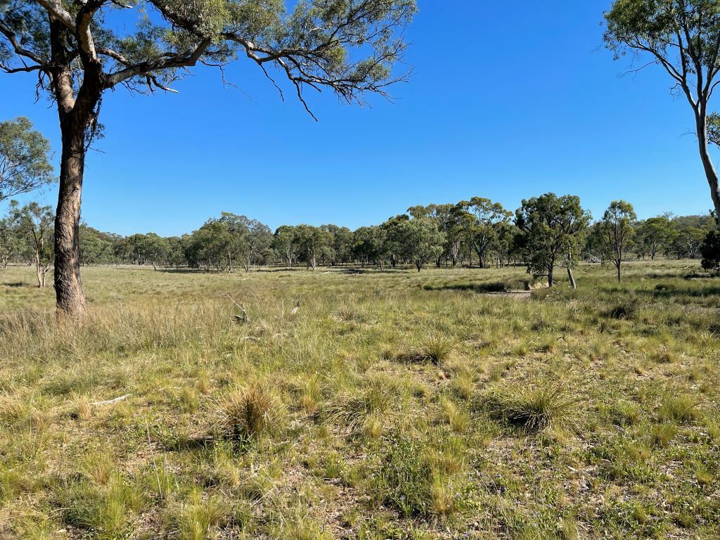 LOT 1 Stanthorpe - Inglewood Rd, Pikedale QLD 4380, Image 0