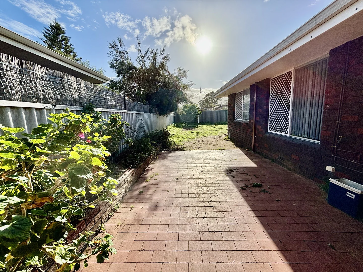 Image 14