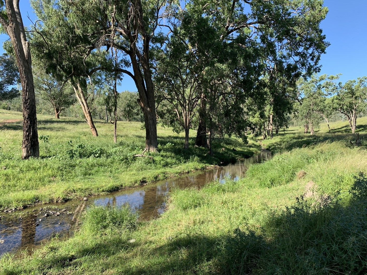 2496 Towarra Road, Bingara NSW 2404, Image 0