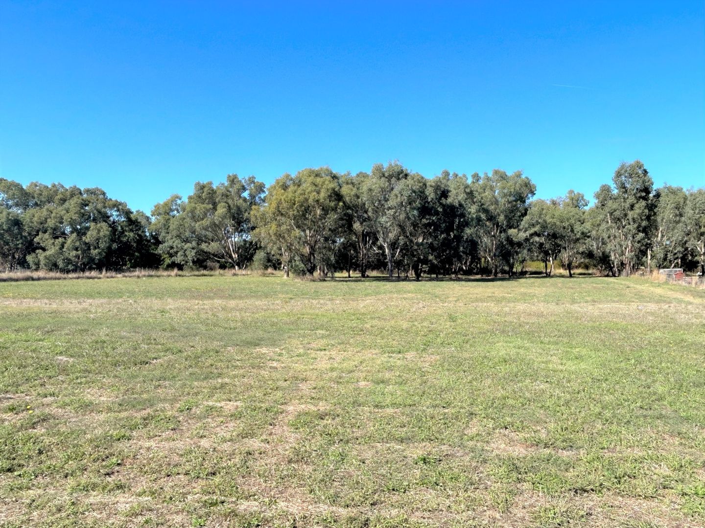 16 Frosty Lane, Jindera NSW 2642, Image 2