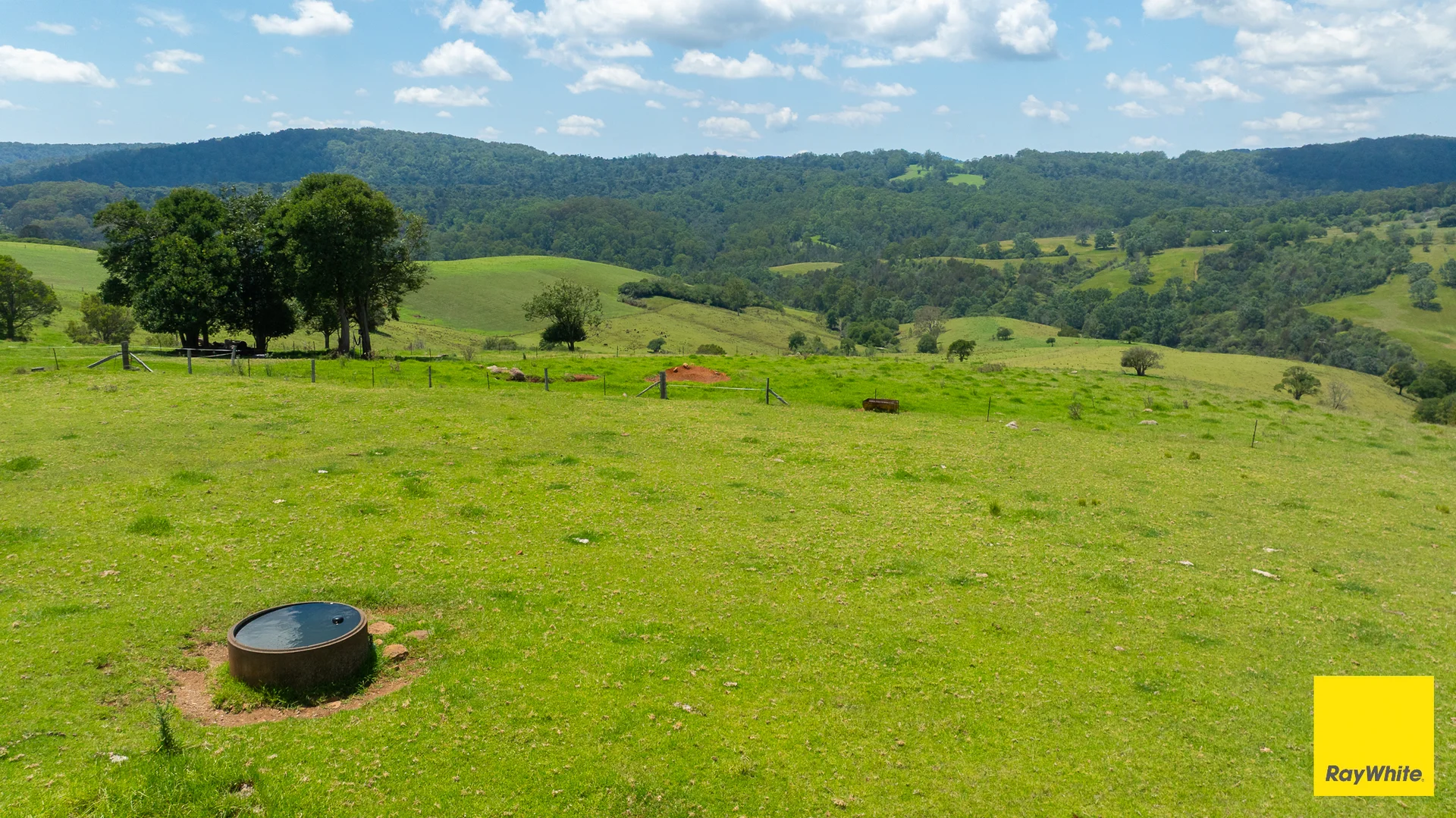 Additional image 25 of 262 Snows Road, Dorrigo NSW 2453