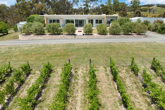 Picture of 103 Hard Hill Rd, ARMSTRONG VIC 3377