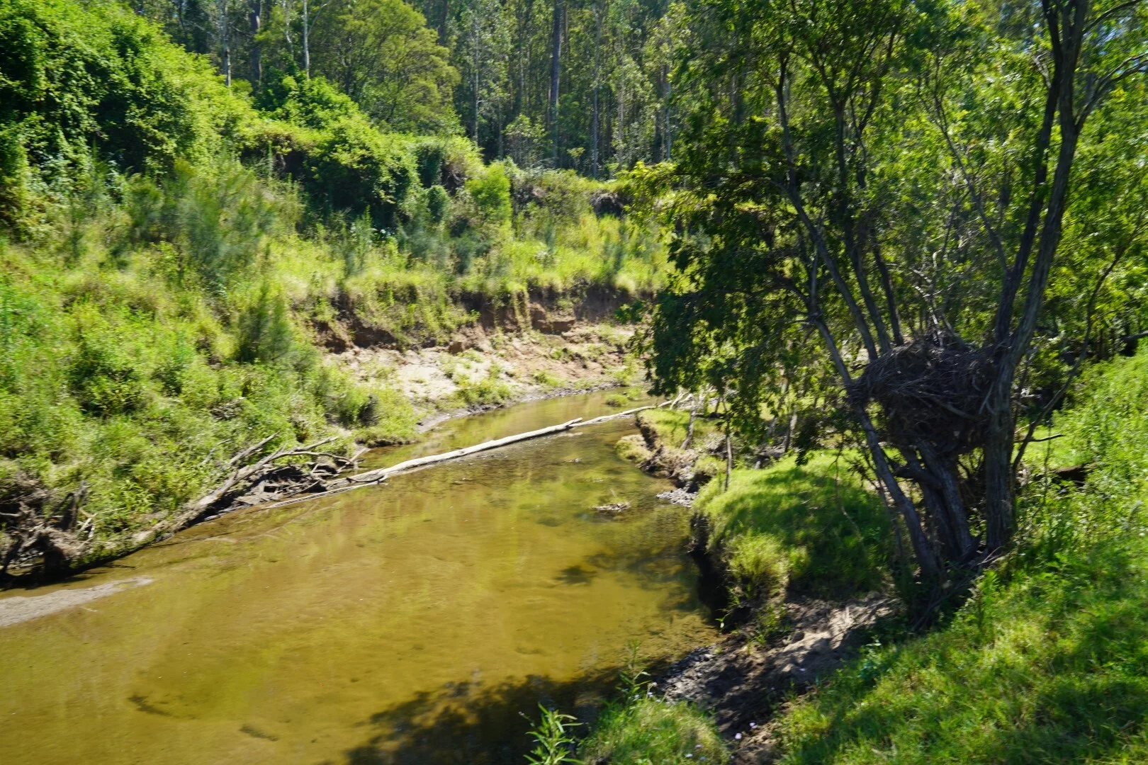 Additional image 23 of 113 Bruxner Highway, Casino NSW 2470