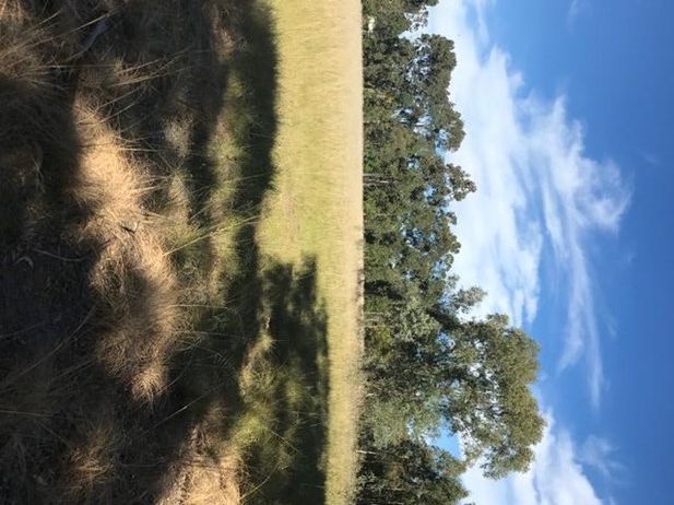 Lot 57 Masters Road, Darling Downs WA 6122, Image 2