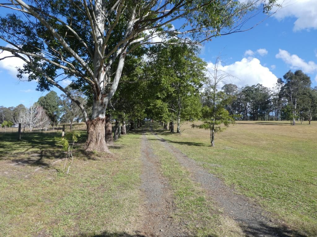 Burrell Creek NSW 2429, Image 1