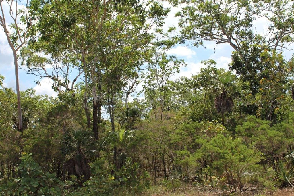 Additional image 14 of 155 Serrata Road, Dundee Downs NT 0840