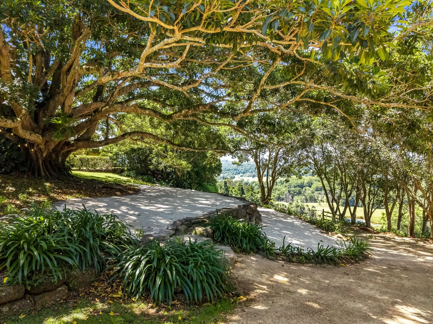 Additional image 9 of 334 James Gibson Road, Clunes NSW 2480