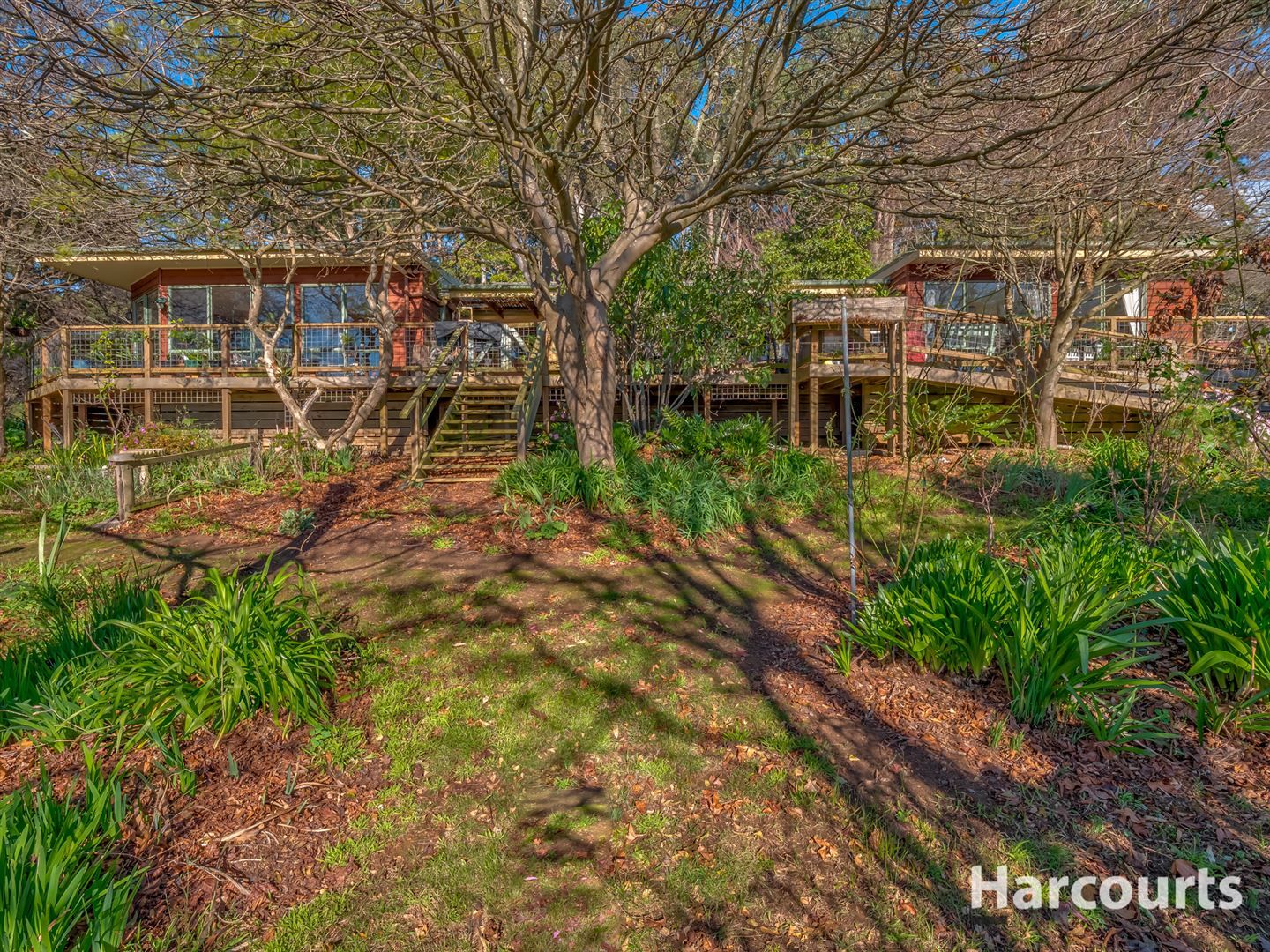 709 Nilma Shady Creek Road, Nilma North VIC 3821, Image 1