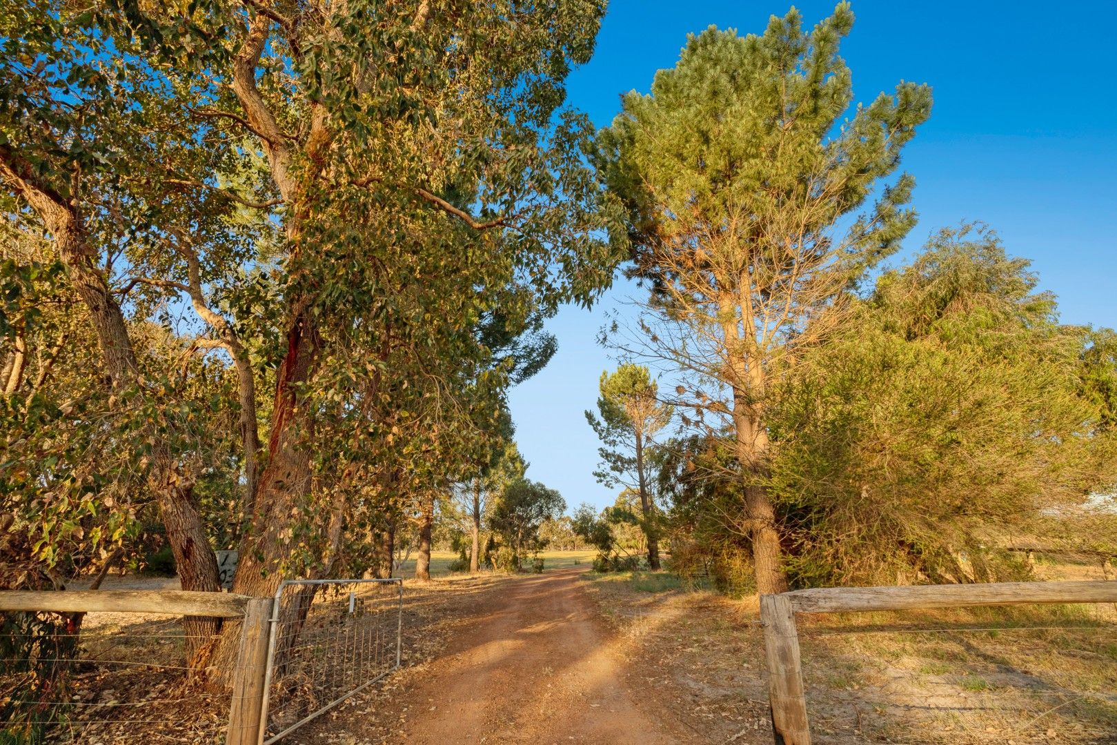 4 bedrooms House in 30 Paperbark Place WEST PINJARRA WA, 6208